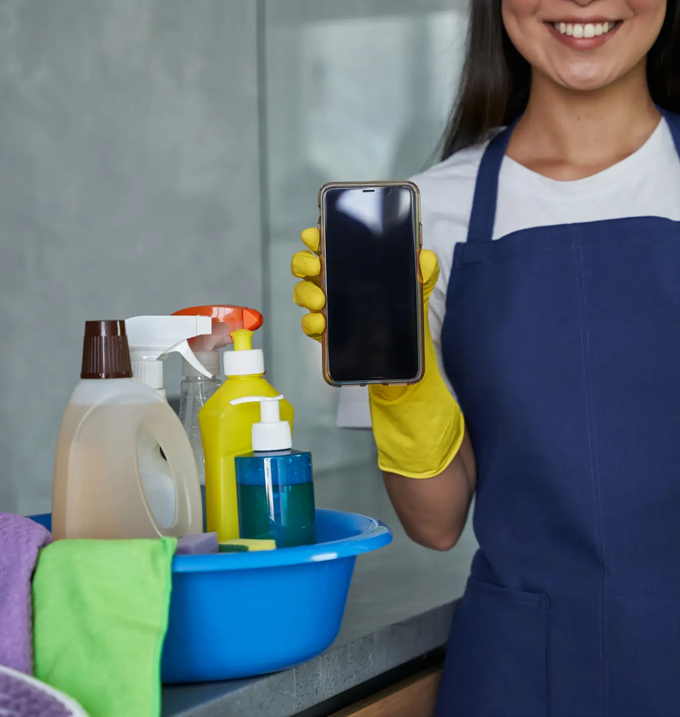 Professional House Cleaning Services Professional House Cleaning Services