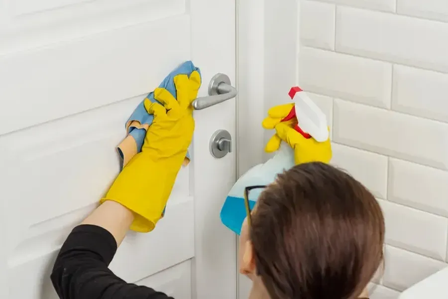 Key Differences Between Regular Cleaning And Deep Cleaning Park Ridge, IL