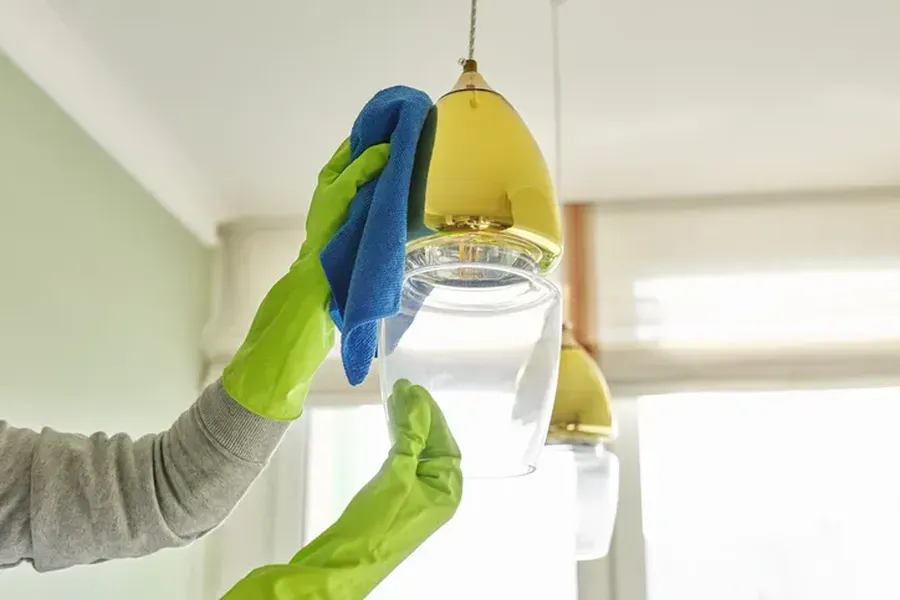 Key Differences Between Regular Cleaning And Deep Cleaning in Park Ridge, IL