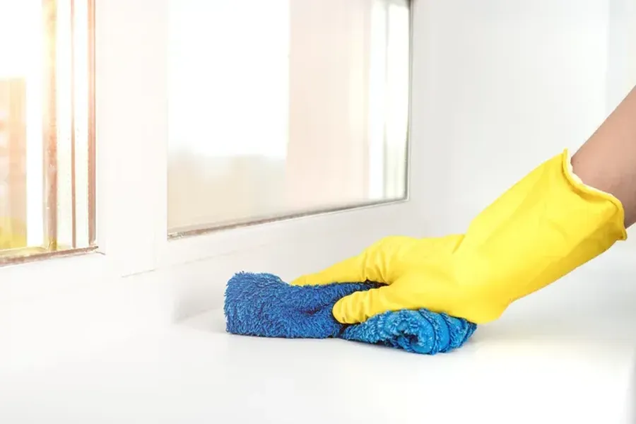 Why Deep Cleaning Is Essential For A Healthy Home Environment Park Ridge, IL